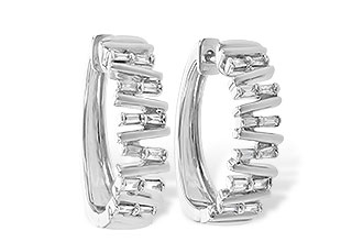 E199-96350: EARR .30 TW BAGUETTE DIAS